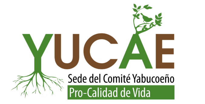 YUCAE logo